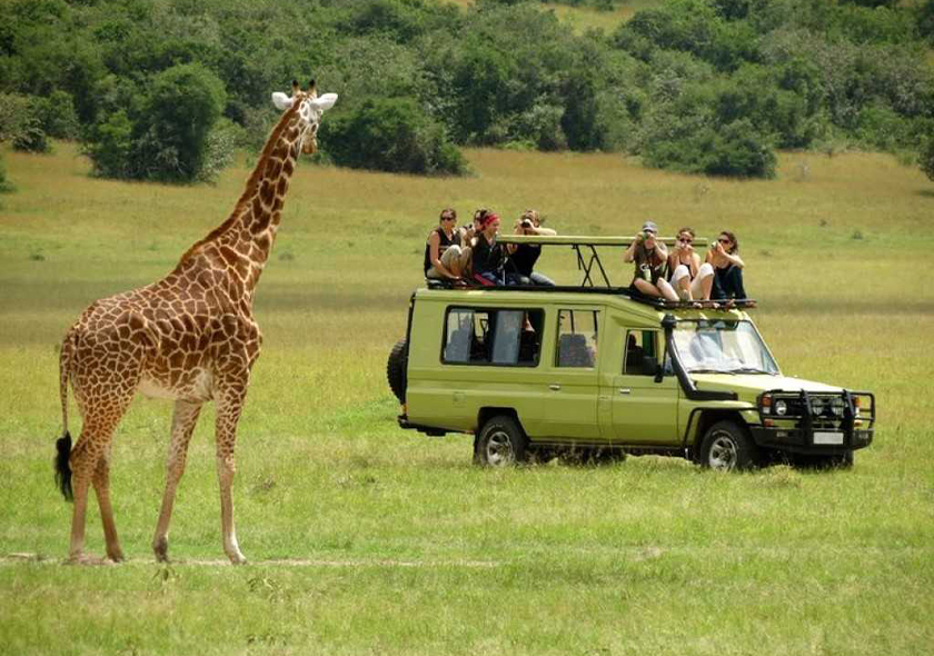 10-Day Mid Range Serengeti Wildebeest Migration Tour