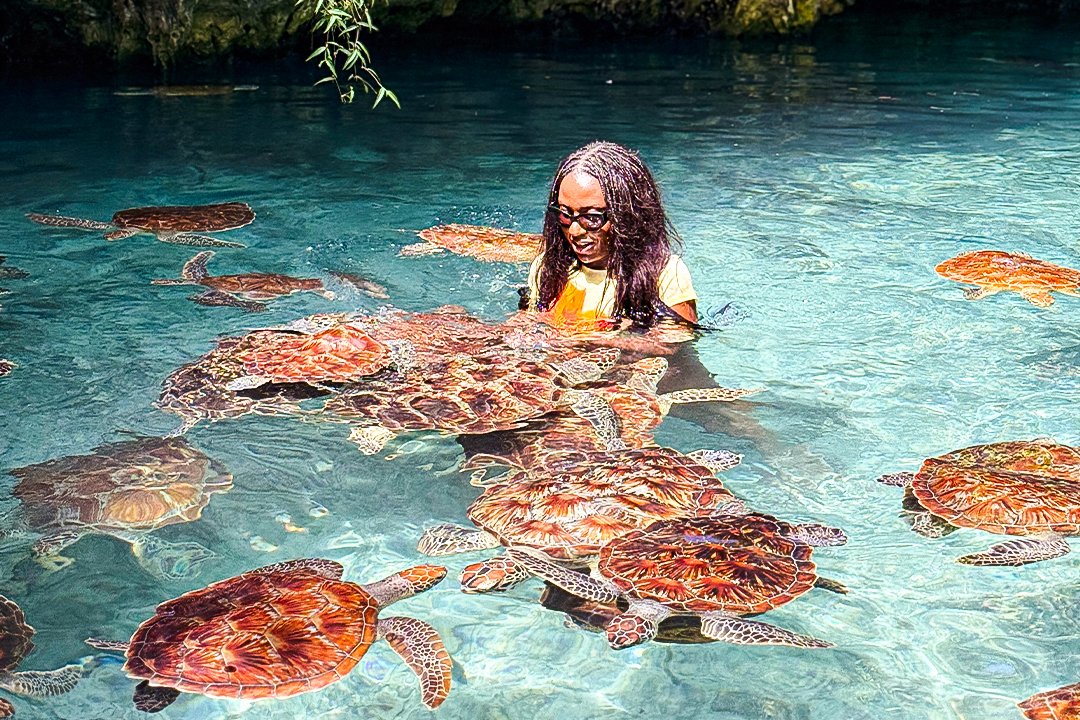 Book a stay at Salaam Cave Resort in Kizimkazi. Enjoy snorkeling, sea walk, and sunset cruises in Zanzibar. Reserve now! turtles – Salaam Cave tours