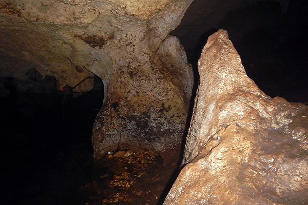 thumbnail-image
