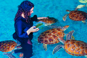 Salaam Cave Zanzibar – Swim with the Turtles in a Natural Cave