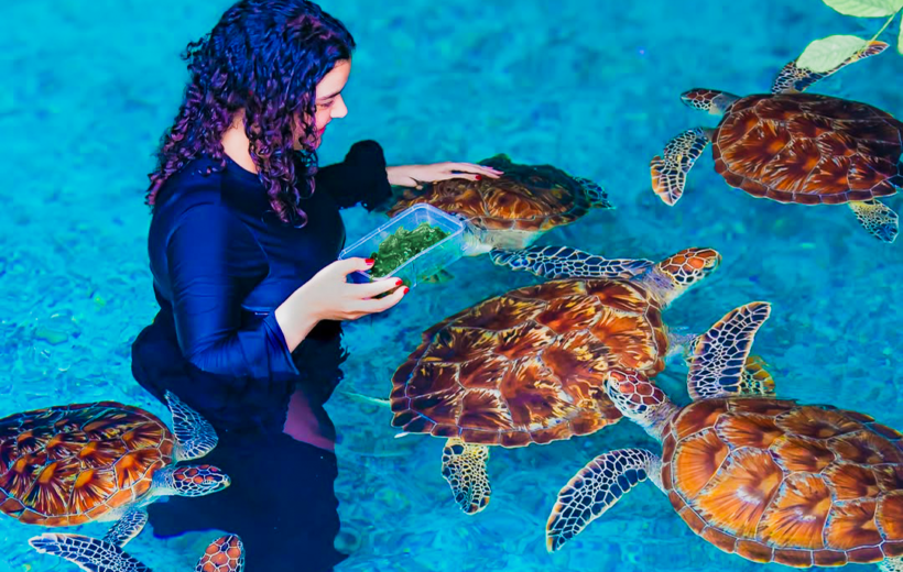 Salaam Cave Zanzibar – Swim with the Turtles in a Natural Cave