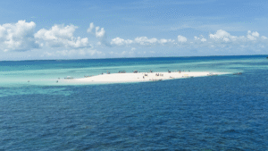 Pungume Island - White Island Tour