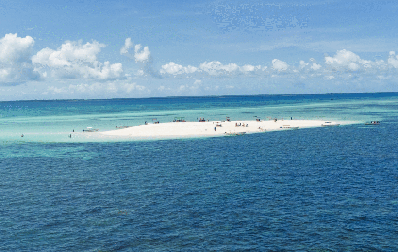 Pungume Island - White Island Tour