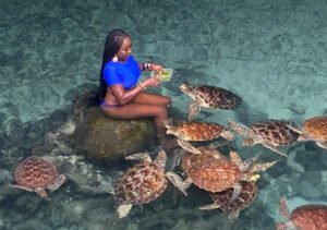 Salaam Cave Private Swimming with the turtles Experience (30 Minutes)