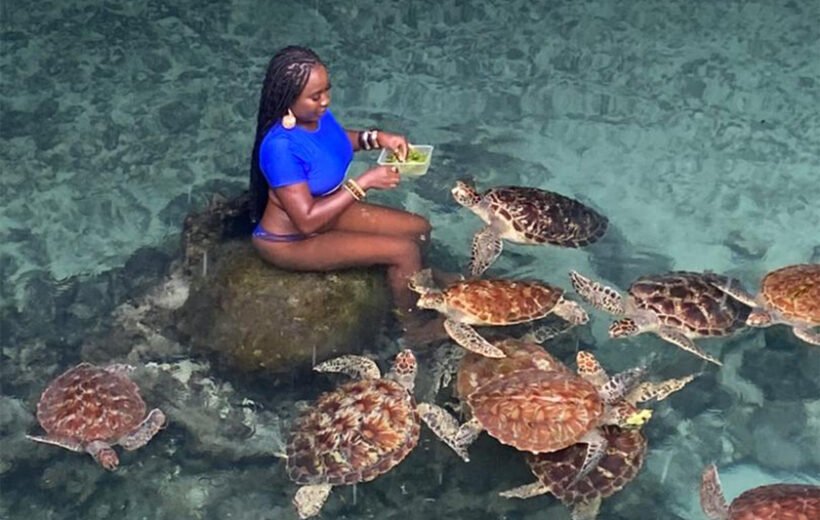 Salaam Cave Private Swimming with the turtles Experience (30 Minutes)