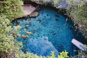 Private Swim with the Turtles in Salaam Cave, Zanzibar (1 hour)