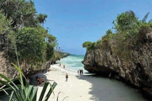 Jozani forest +salaam cave + mtende beach