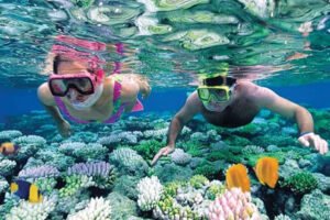 Snorkeling at Kizimkazi